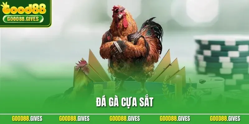 Đá Gà Cựa Sắt – Hướng Dẫn Chi Tiết Cho Hội Viên GOOD88
