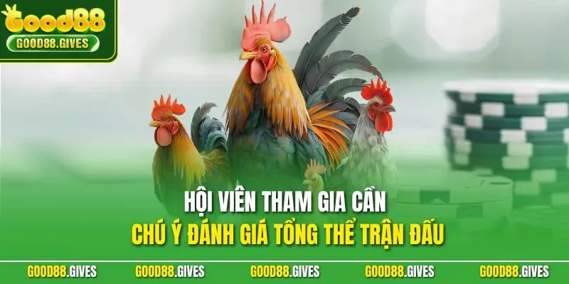 Hội viên tham gia cần chú ý đánh giá tổng thể trận đấu